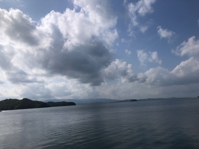 10D602CD-CECF-47ED-B5FD-5066D0F84F7F.jpeg