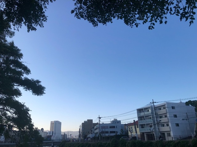120AF092-3A8E-4B57-A88F-551B0D792DC1.jpeg