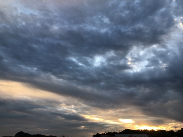 42D5D251-C171-4A50-A032-73EA23CA9987.jpeg