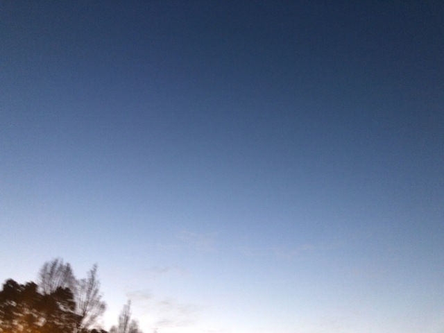 5666EE1A-31B1-408C-B051-17E8E14BBF36.jpeg
