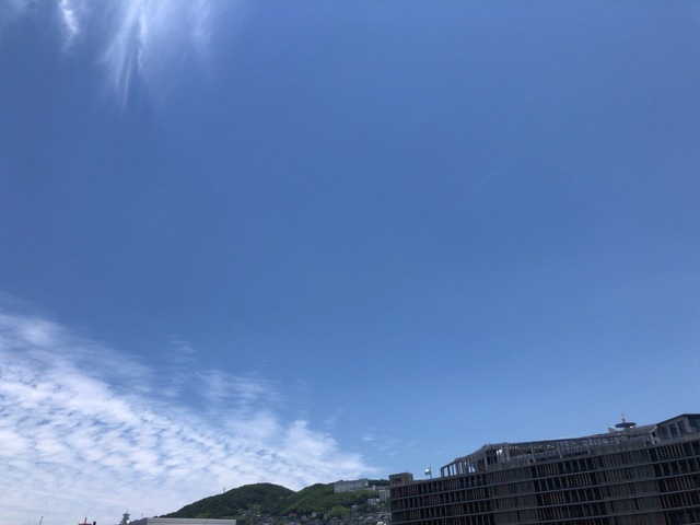 6315F97A-76FA-433E-AF93-9222A4D41A87.jpeg
