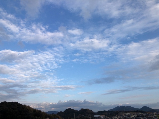 643C66C2-F9FD-4540-807F-4C506EF7070D.jpeg