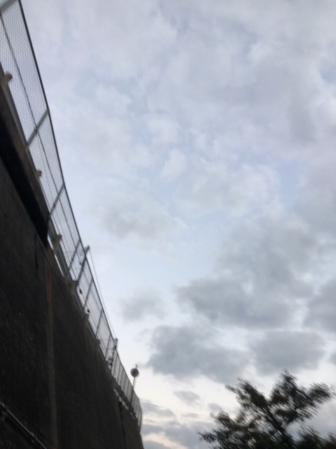 90E58DC2-4BFA-409F-95AB-42A8C93E3B93.jpeg