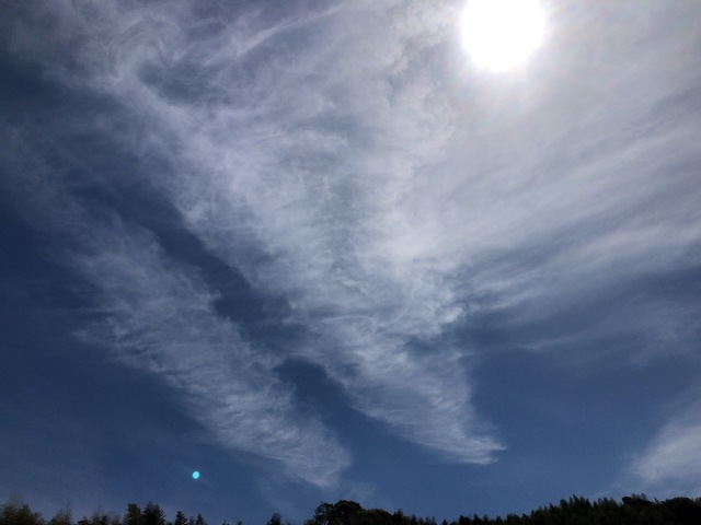 9BF7EF7C-C2C9-4672-B306-AE909CB9E2F9.jpeg
