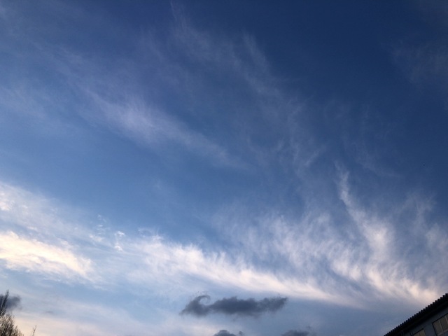 D1AF7CEB-4913-4E5B-8DF8-940F377420A2.jpeg