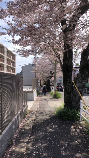 DD1D772D-E62C-4321-B8C6-1726535FBFB7.jpeg