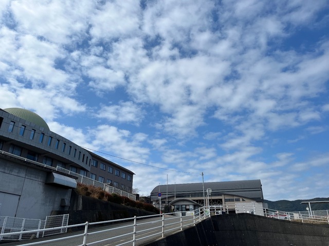 IMG_0865.jpeg