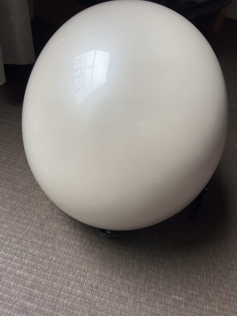IMG_1986.jpeg