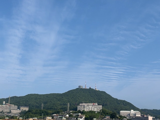 IMG_2001.jpeg
