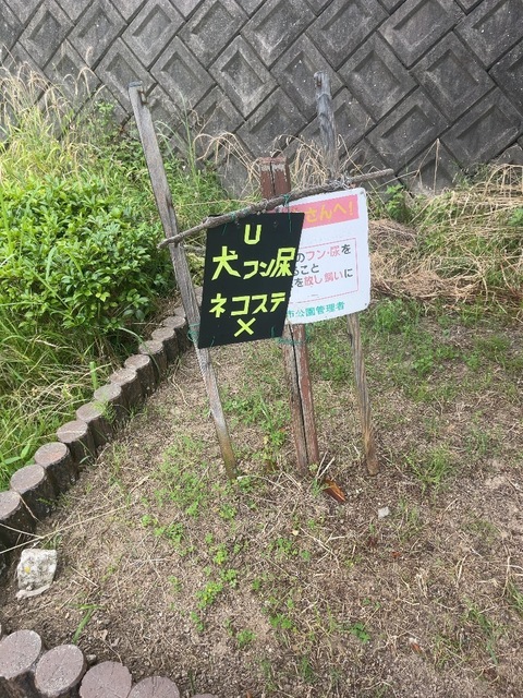 IMG_2024.jpeg