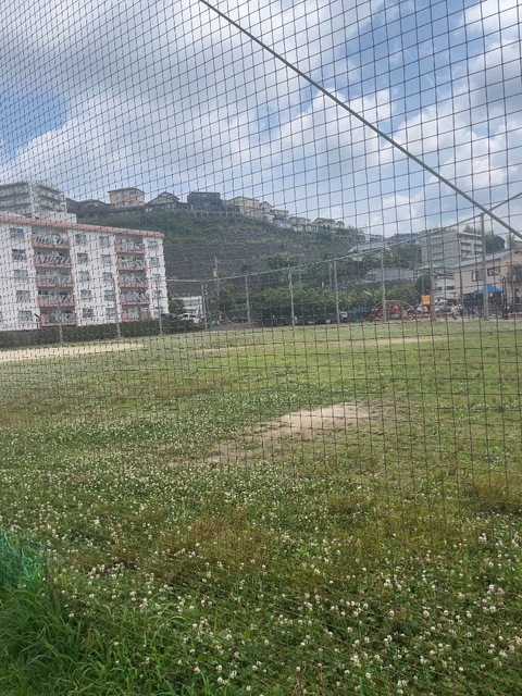 IMG_2025.jpeg