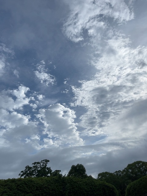 IMG_2274.jpeg