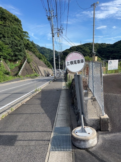 IMG_2320.jpeg