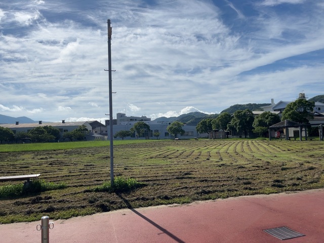 IMG_2328.jpeg