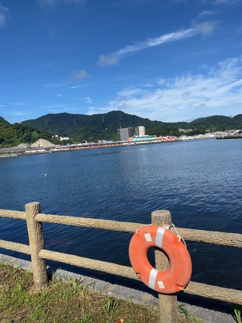 IMG_2329.jpeg