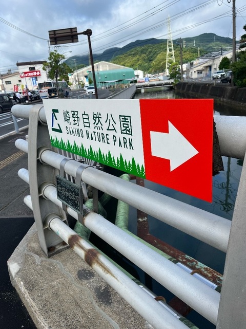 IMG_2342.jpeg