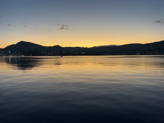 IMG_4484.jpeg