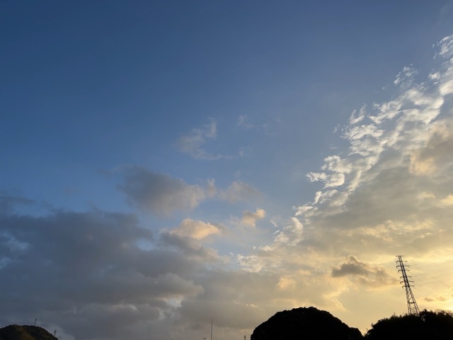 IMG_4691.jpeg