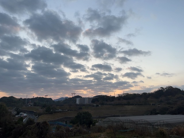 IMG_4718.jpeg