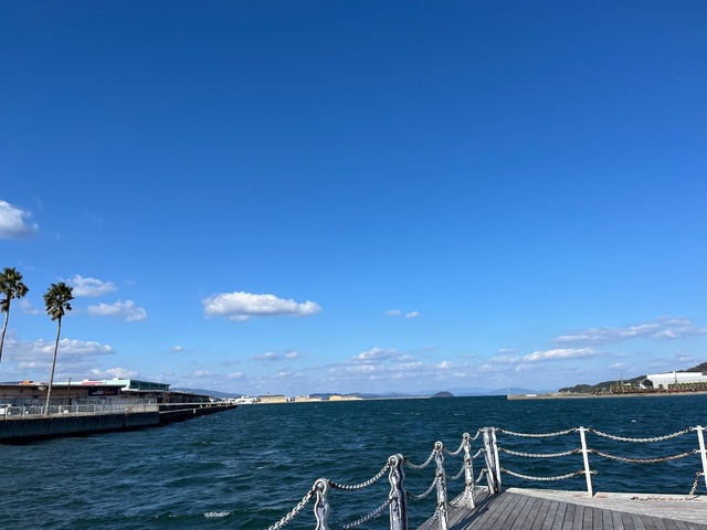 IMG_4739.jpeg