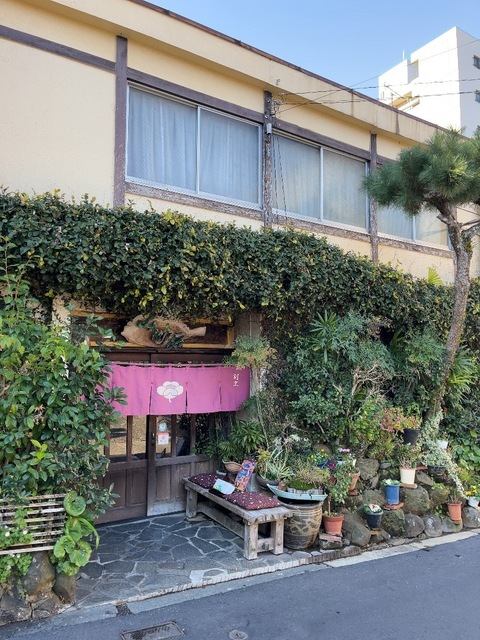 IMG_4854.jpeg