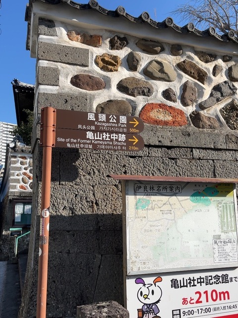 IMG_4862-54a47.jpeg