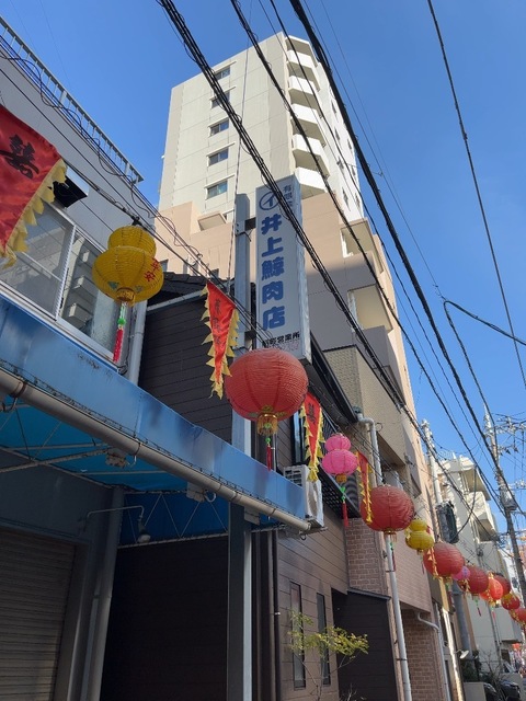 IMG_4899.jpeg