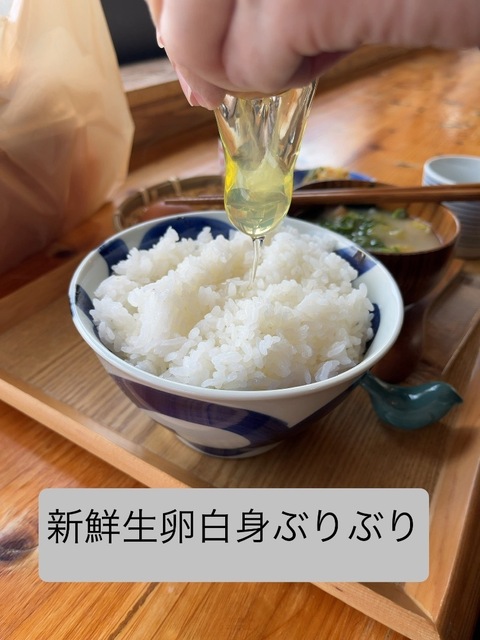 IMG_4992.jpeg