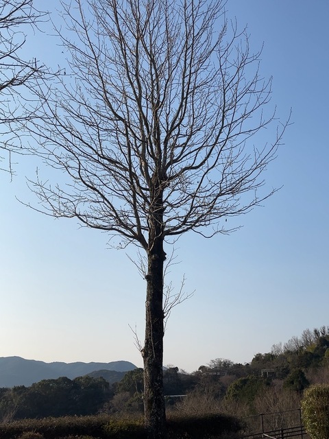 IMG_5506.jpeg