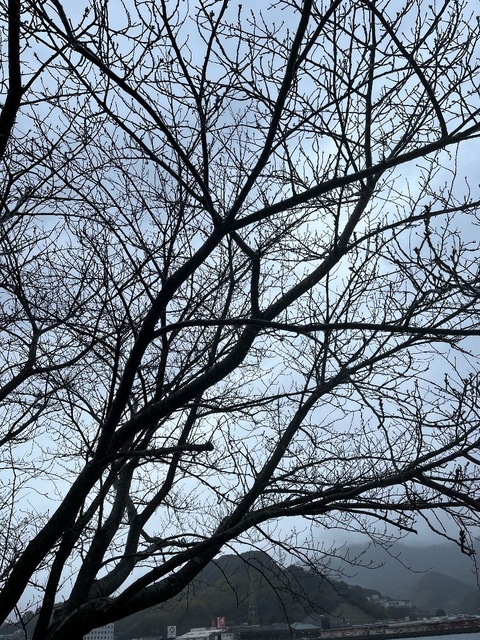IMG_5612.jpeg