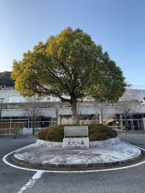 IMG_5667.jpeg