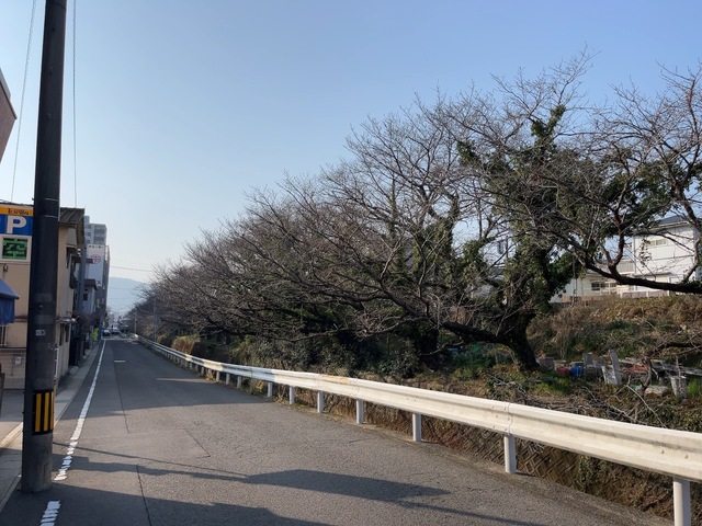 IMG_5707.jpeg