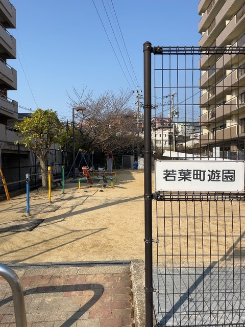 IMG_5715.jpeg