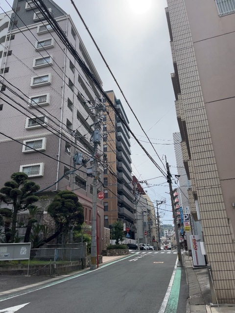 IMG_5987.jpeg
