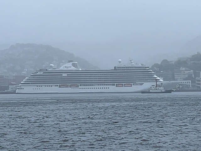 IMG_6176.jpeg