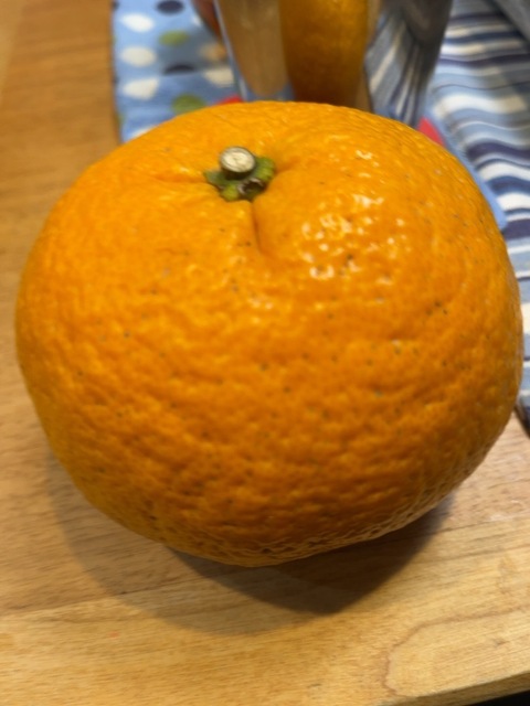 IMG_6226.jpeg