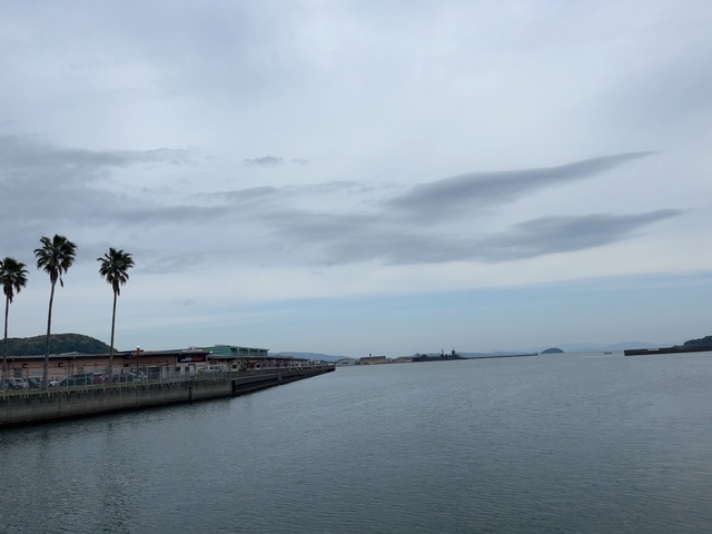 IMG_6404.jpeg