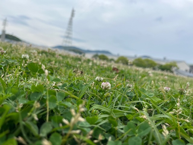 IMG_6408.jpeg
