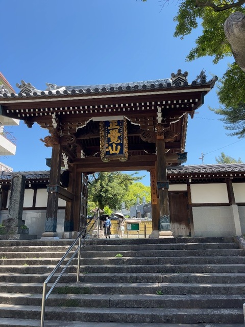 IMG_6418.jpeg