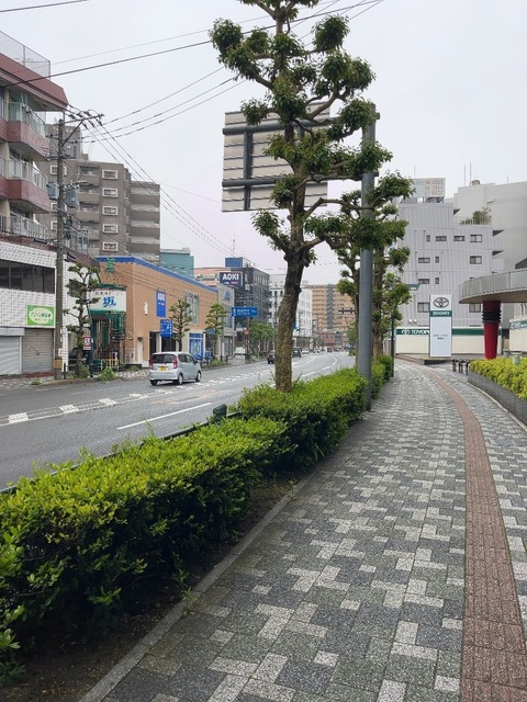 IMG_6507.jpeg
