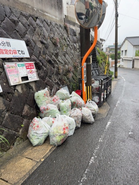 IMG_6514.jpeg