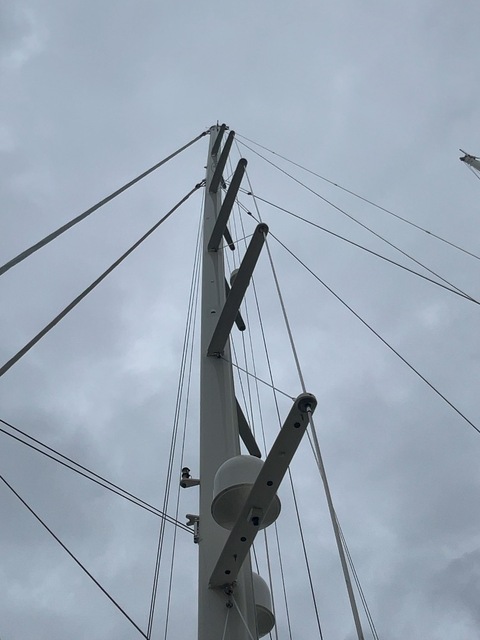 IMG_6782.jpeg